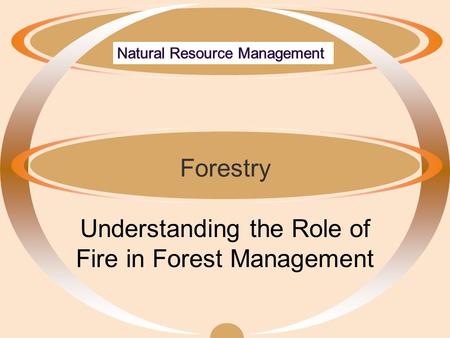 Forestry Understanding the Role of Fire in Forest Management.