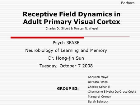 Receptive Field Dynamics in Adult Primary Visual Cortex Charles D. Gilbert & Torsten N. Wiesel Psych 3FA3E Neurobiology of Learning and Memory Dr. Hong-jin.