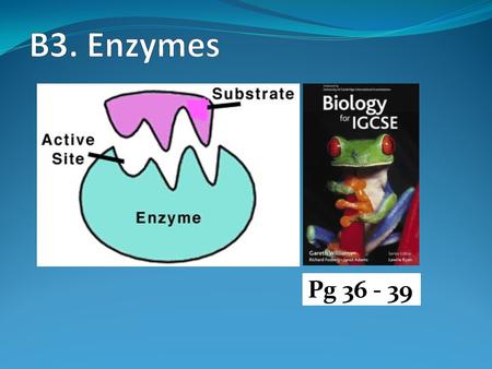 B3. Enzymes Pg 36 - 39.