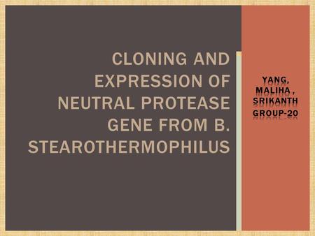 CLONING AND EXPRESSION OF NEUTRAL PROTEASE GENE FROM B. STEAROTHERMOPHILUS.