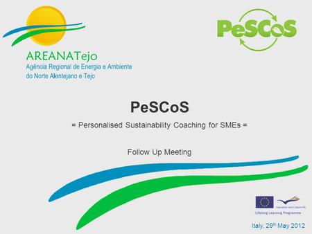 Italy, 29 th May 2012 PeSCoS = Personalised Sustainability Coaching for SMEs = Follow Up Meeting.
