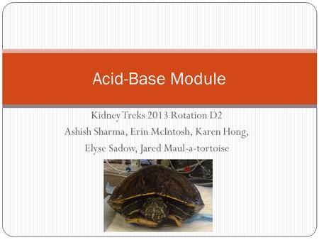 Kidney Treks 2013 Rotation D2 Ashish Sharma, Erin McIntosh, Karen Hong, Elyse Sadow, Jared Maul-a-tortoise Acid-Base Module.