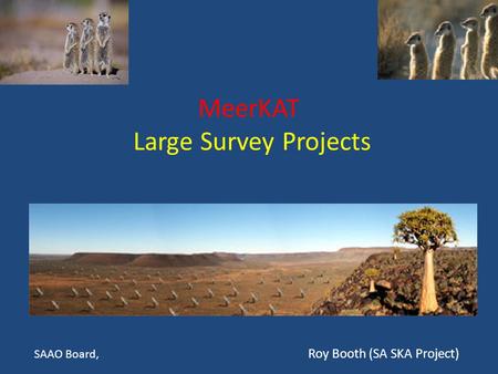 MeerKAT Large Survey Projects SAAO Board, Roy Booth (SA SKA Project)
