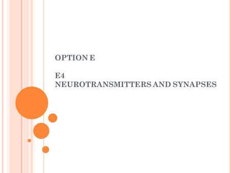OPTION E E4 NEUROTRANSMITTERS AND SYNAPSES
