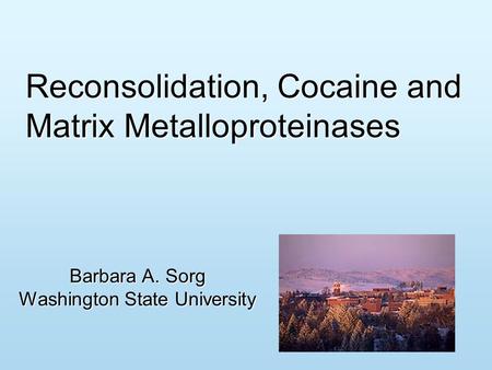 Reconsolidation, Cocaine and Matrix Metalloproteinases Barbara A. Sorg Washington State University.