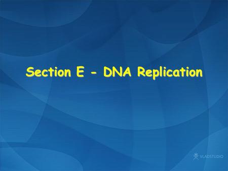 Section E - DNA Replication