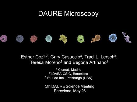 Esther Coz 1,2, Gary Casuccio 3, Traci L. Lersch 3, Teresa Moreno 2 and Begoña Artíñano 1 5th DAURE Science Meeting Barcelona, May 26 DAURE Microscopy.