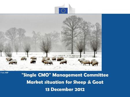 Group housing of pregnant sows as applicable from 1 January 2013 Single CMO Management Committee Market situation for Sheep & Goat 13 December 2012 Foto.