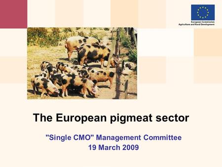 Single CMO Management Committee 19 March 2009 The European pigmeat sector.