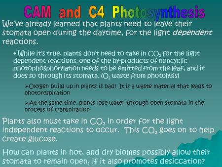 We’ve already learned that plants need to leave their stomata open during the daytime, for the light dependent reactions. While it’s true, plants don’t.