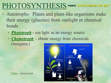 PHOTOSYNTHESIS means putting together with light.