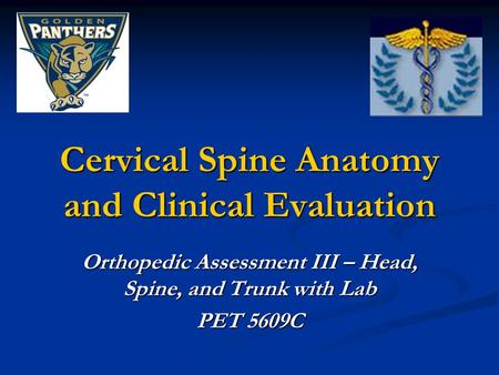 Cervical Spine Anatomy and Clinical Evaluation