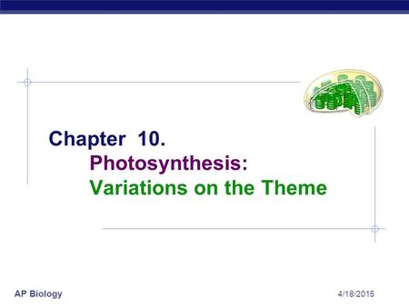 Chapter 10. Photosynthesis: Variations on the Theme