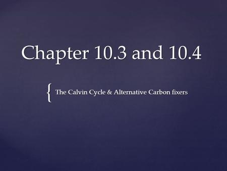 The Calvin Cycle & Alternative Carbon fixers