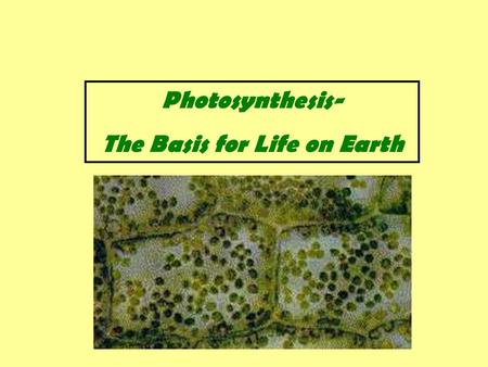 Photosynthesis- The Basis for Life on Earth. Photosynthesis- is the process that converts light energy into chemical energy. This chemical energy is usually.