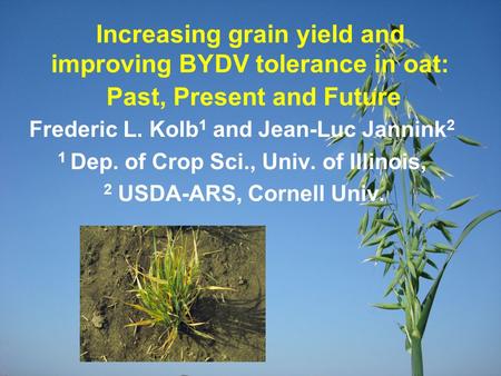 Increasing grain yield and improving BYDV tolerance in oat: Past, Present and Future Frederic L. Kolb 1 and Jean-Luc Jannink 2 1 Dep. of Crop Sci., Univ.