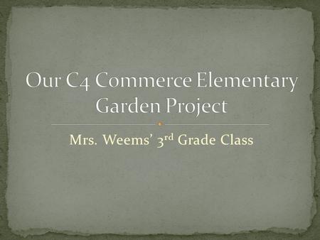 Mrs. Weems’ 3 rd Grade Class The Sun Over the Garden By Haley Wurst The sun is shining brightly Calling the plants to grow Taking care of them Like a.