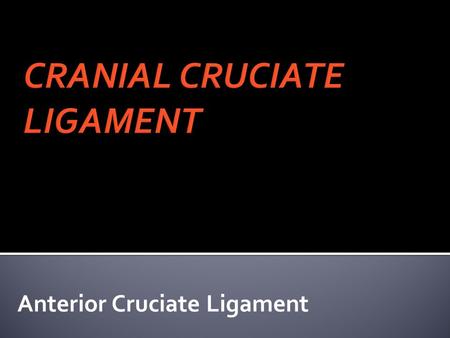Anterior Cruciate Ligament. -GENETIC -ENVIRONMENT -OTHER.