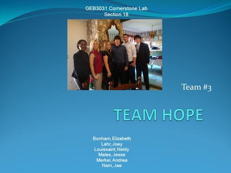 Team #3 GEB3031 Cornerstone Lab Section 18 Bonham, Elizabeth Lahr, Joey Louissaint, Neldy Males, Jesse Merkel, Andrea Nam, Jae.