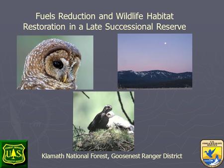 Fuels Reduction and Wildlife Habitat Restoration in a Late Successional Reserve Klamath National Forest, Goosenest Ranger District.