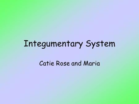 Integumentary System Catie Rose and Maria. What Does The System Do? Skin covers the body. Skin prevents loss of water. Skin protects the body from injuries.