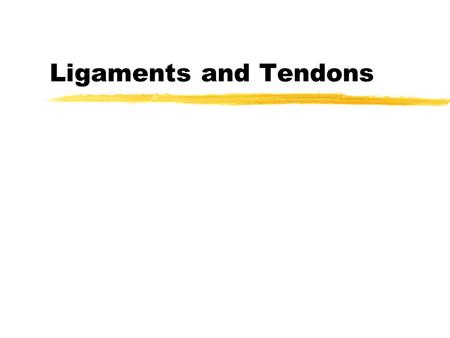 Ligaments and Tendons. Ligaments zAugment the mechanical stability of joints zGuide joint motion zPrevent excessive motion.