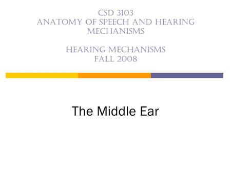 CSD 3103 anatomy of speech and hearing mechanisms Hearing mechanisms Fall 2008 The Middle Ear.