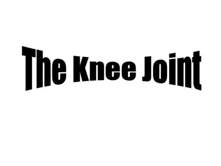 The Knee Joint.