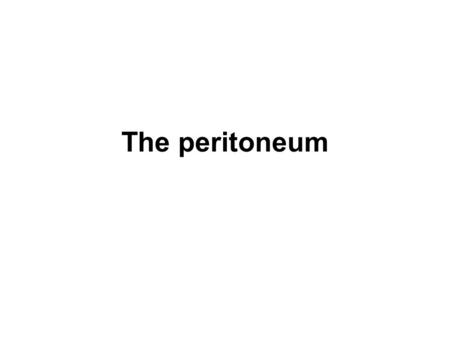 The peritoneum.