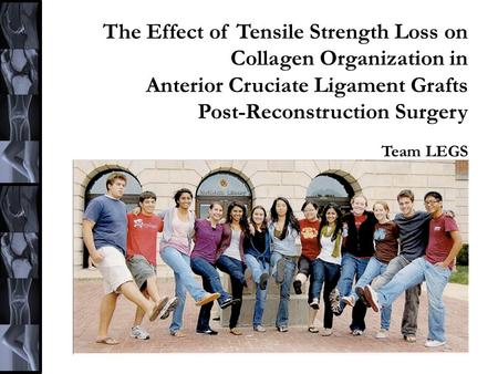 The Effect of Tensile Strength Loss on Collagen Organization in Anterior Cruciate Ligament Grafts Post-Reconstruction Surgery Team LEGS.