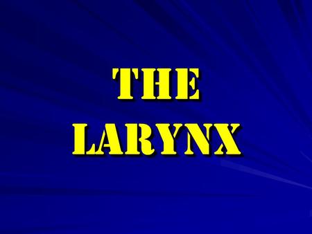 The larynx.