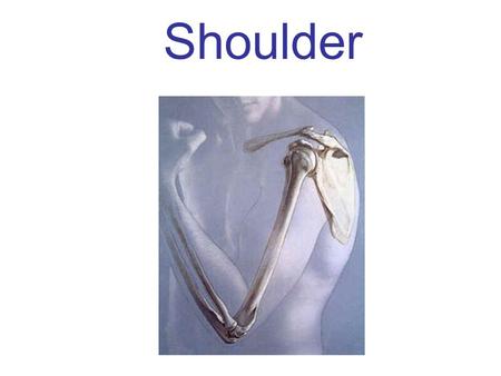 HESS 510 Chapter 4 The Shoulder Girdle PPT Series 4A - ppt download