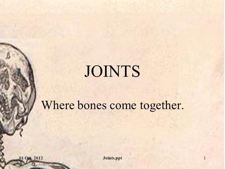 Where bones come together.
