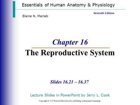 Chapter 16 The Reproductive System