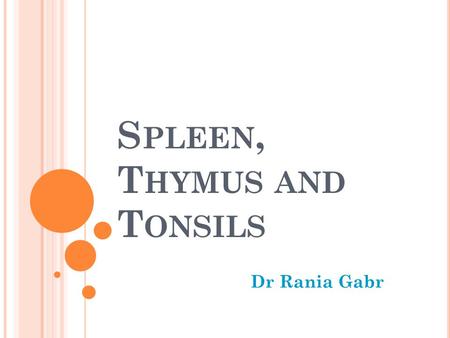 Spleen, Thymus and Tonsils