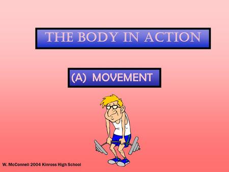 W. McConnell 2004 Kinross High School The Body In Action (A) MOVEMENT.