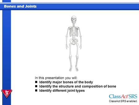 Bones and Joints In this presentation you will: Identify major bones of the body Identify the structure and composition of bone Identify different joint.