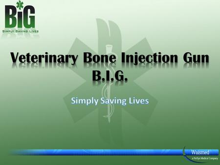 Veterinary Bone Injection Gun B.I.G.