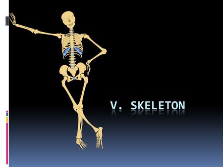 V. Skeleton http://4vector.com/free-vector/human-skeleton-outline-clip-art-108239.