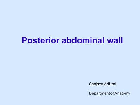 Posterior abdominal wall