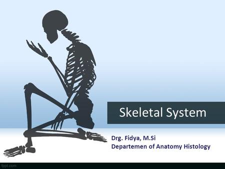 Skeletal System Drg. Fidya, M.Si Departemen of Anatomy Histology.