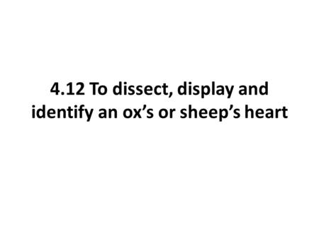 4.12 To dissect, display and identify an ox’s or sheep’s heart.