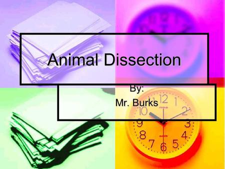 Animal Dissection By: Mr. Burks. Introduction Who are you and what are we learning about today? Who are you and what are we learning about today?