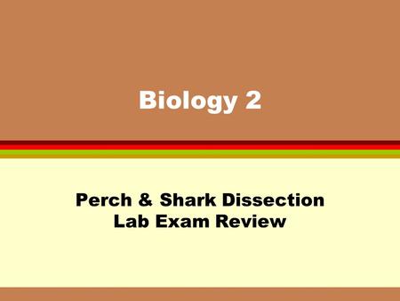 Perch & Shark Dissection Lab Exam Review