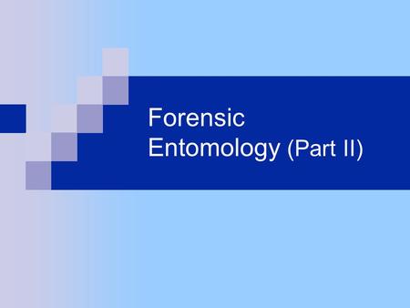 Forensic Entomology (Part II). Maggot Crop Analysis.