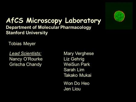 AfCS Microscopy Laboratory Department of Molecular Pharmacology Stanford University Tobias Meyer Lead Scientists: Nancy O’Rourke Grischa Chandy Mary Verghese.