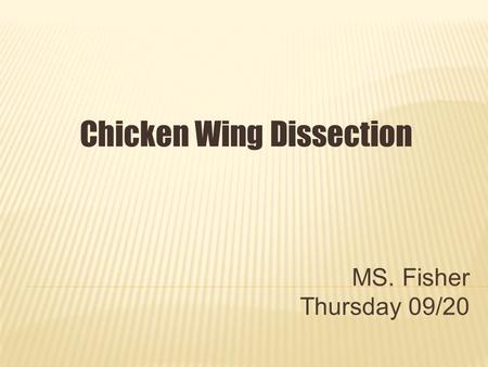 MS. Fisher Thursday 09/20 Chicken Wing Dissection.