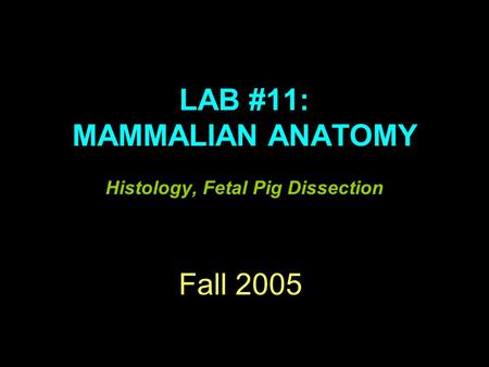 Fall 2005 LAB #11: MAMMALIAN ANATOMY Histology, Fetal Pig Dissection.