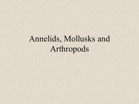 Annelids, Mollusks and Arthropods. Announcements There will be a quiz next lab that covers materials from annelids and echinoderms. Assignment for this.