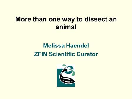 More than one way to dissect an animal Melissa Haendel ZFIN Scientific Curator.